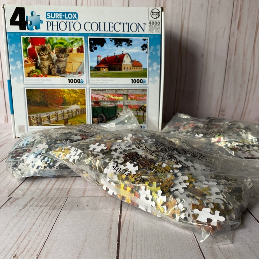 Sure-Lox Puzzles (Set of 3)